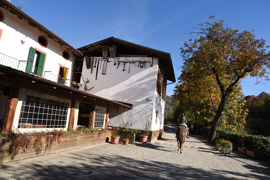 agriturismo-tambour-a-cavallo