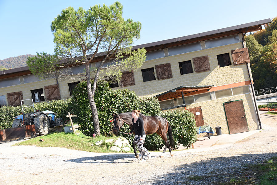 agriturismo-tambour-cavalli